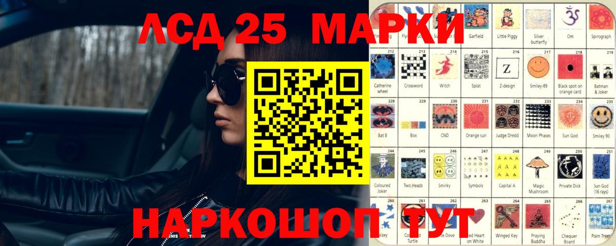 Сокол  Лсд 25 экстази кислота  ЛСД экстази  ЛСД экстази кислота  Вход с VPN 