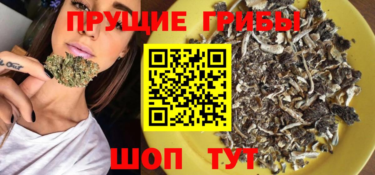Псилоцибиновые грибы мухоморы Сокол