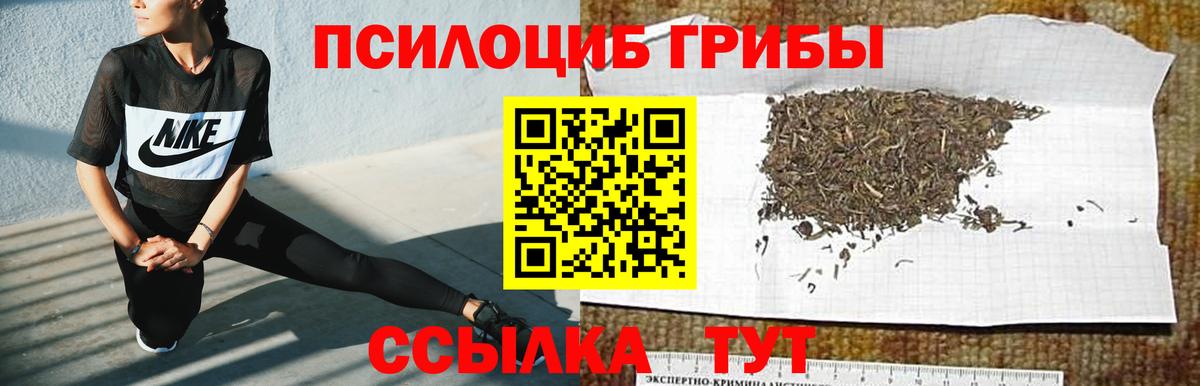 ГАШ  Вход с VPN  Сокол  A-PVP СОЛЬ   МЕТ  МДМА  Меф МЯУ МЯУ   COCAIN  ГЕРОИН  Каннабис 
